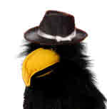 Fergus, our crow puppet, as Mr Big the Gangster.