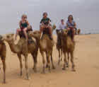 A group on camels.