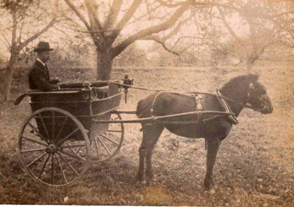 John Haydon in 1903 on a pony and trap at Burroughbridge, Sussex. 