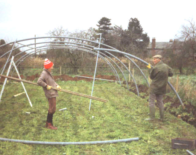 Christine and Roy Reason erecting the steel hoops on a polytunnel.