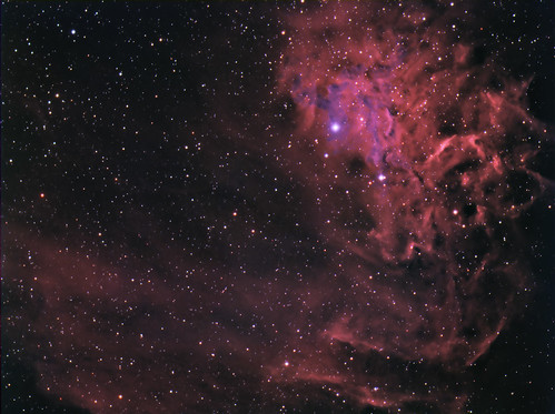 Flaming Star Nebula. What gives meaning to life?