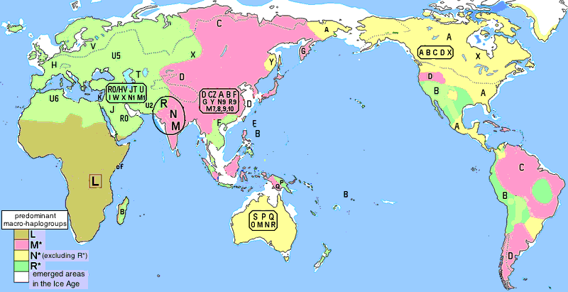 Map showing Mitochondrial DNA Haplogroups throughout the world.