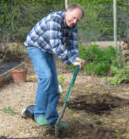 Digging in the veg garden.