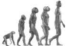 Pictorial theory of ape into man. What is the evidence for evolution?