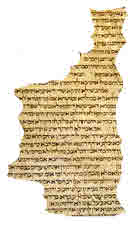 A fragment of a manuscript.