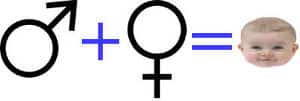 Male symbol plus female symbol equals a new baby. Has reproduction evolved - the evolution of sex.